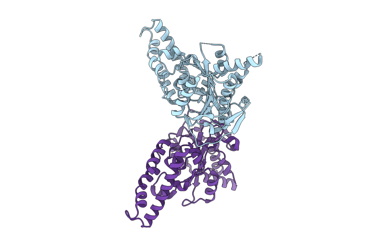 6N71 image