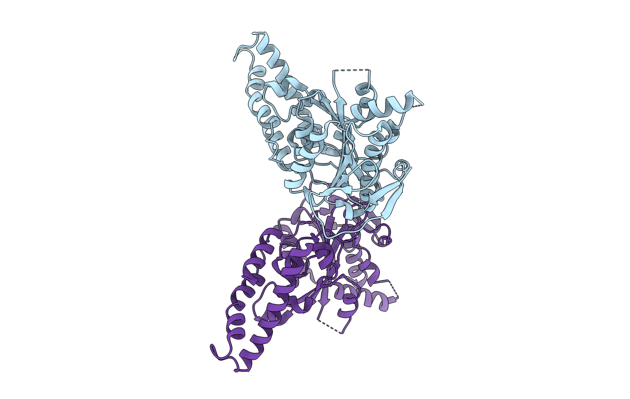 6N75 image