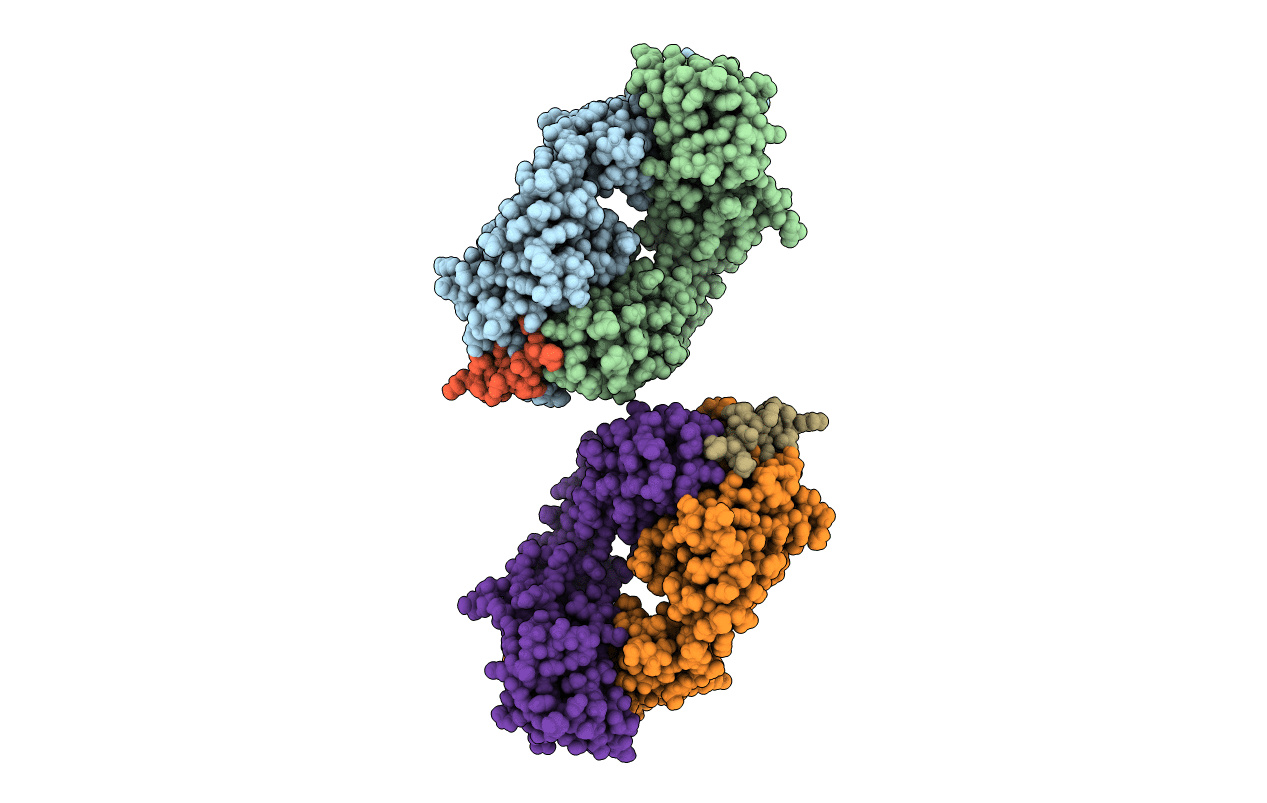 6N7J image