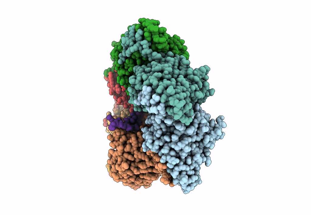6N7V image