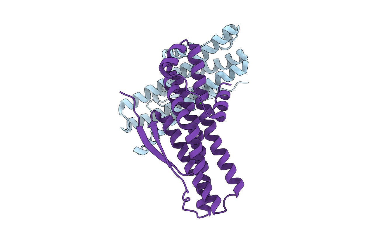 6N8B image