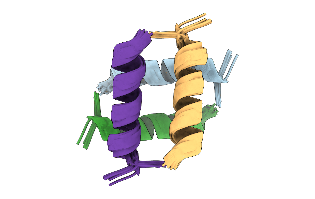 6N8C image