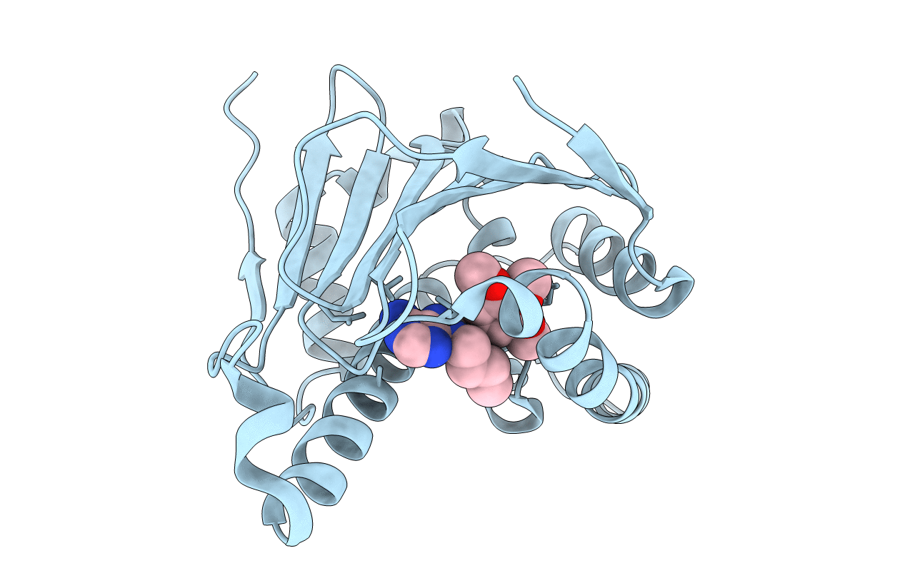 6N8X image