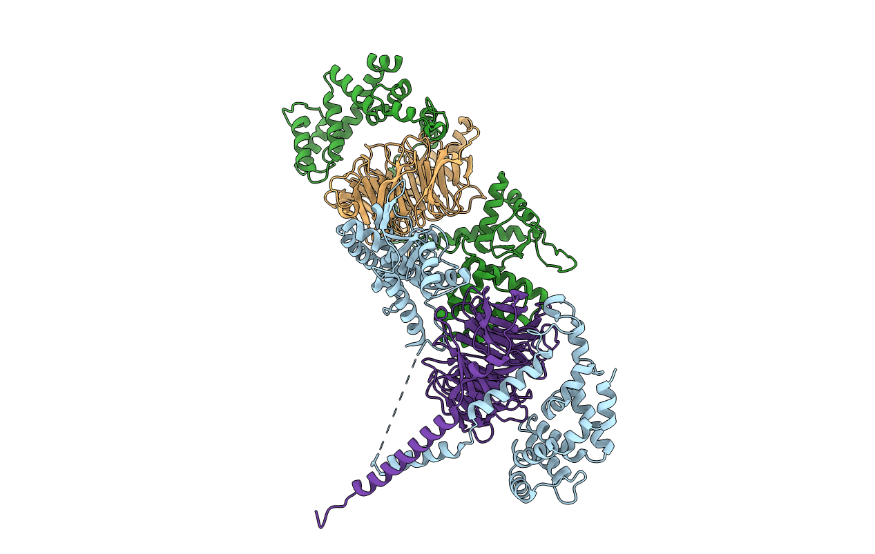 6N9G image