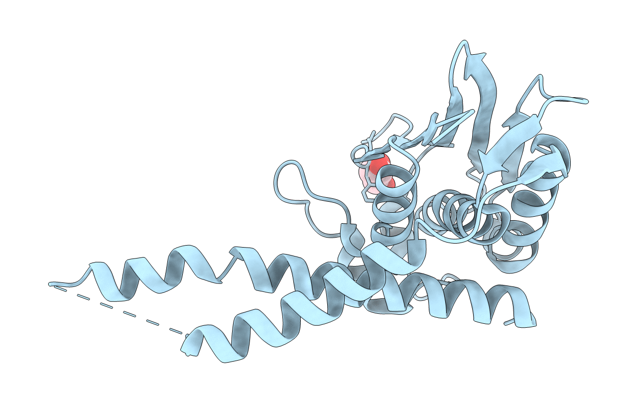 6NB0 image