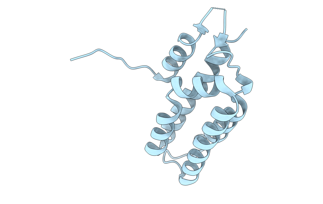 6NBU image