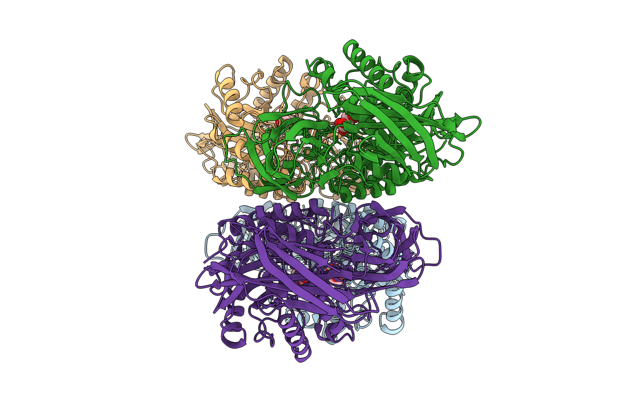 6NCX image