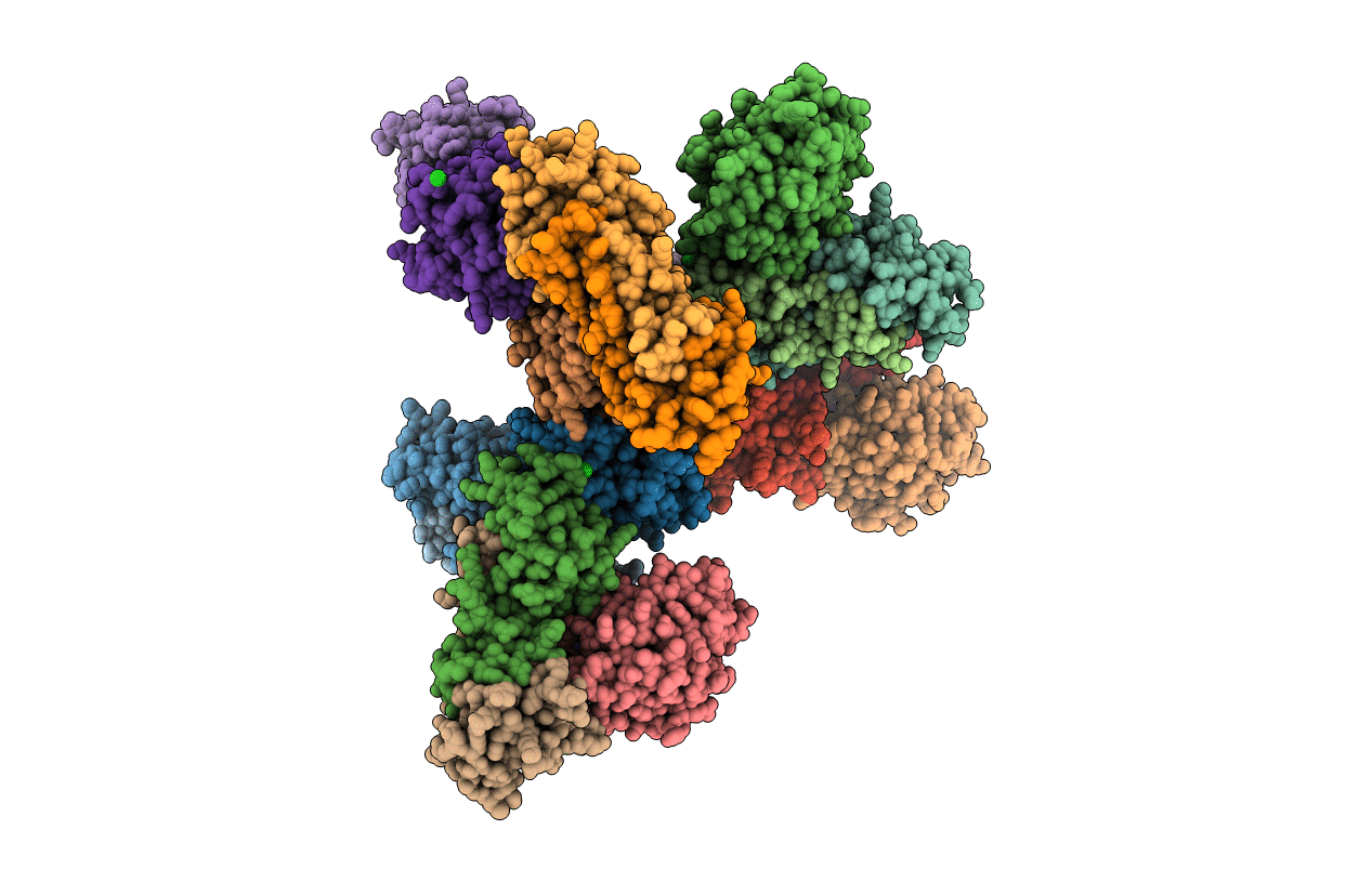 6NDB image