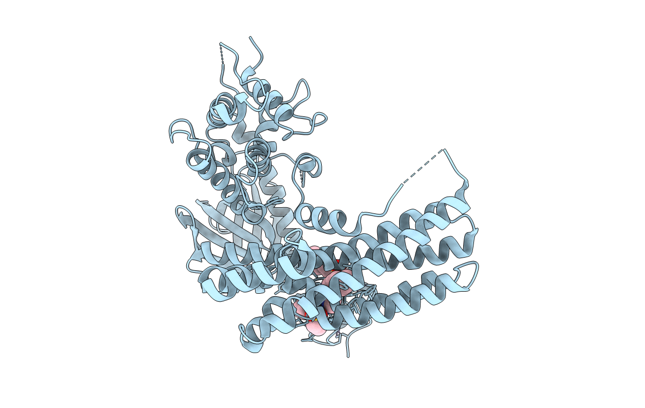 6NF1 image
