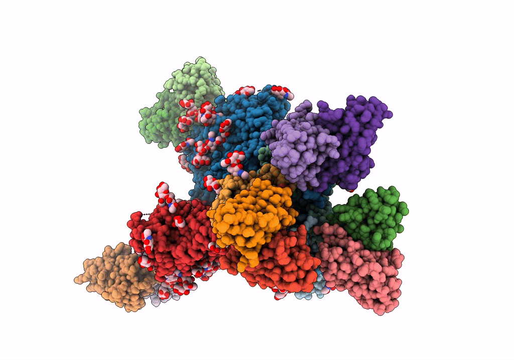 6NF5 image