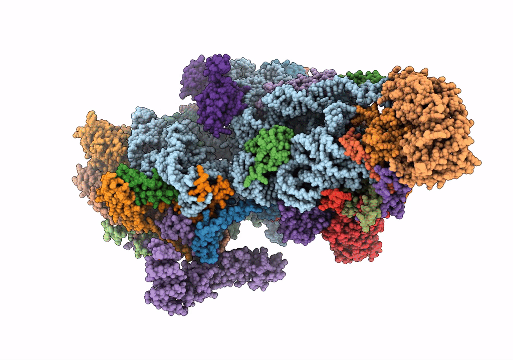 6NF8 image