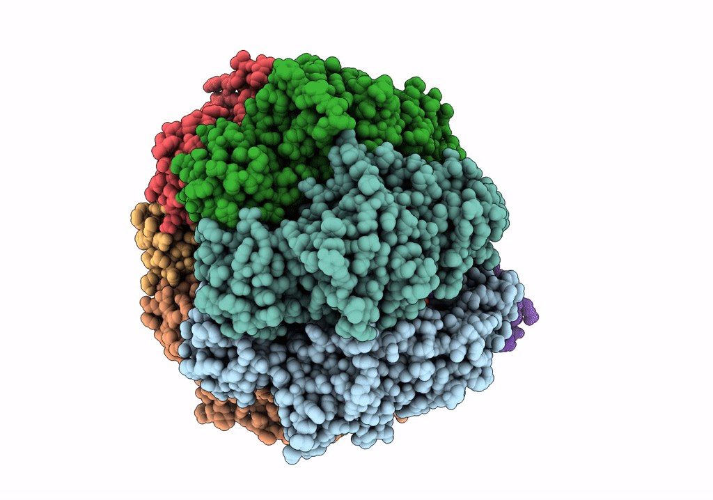 6NJP image