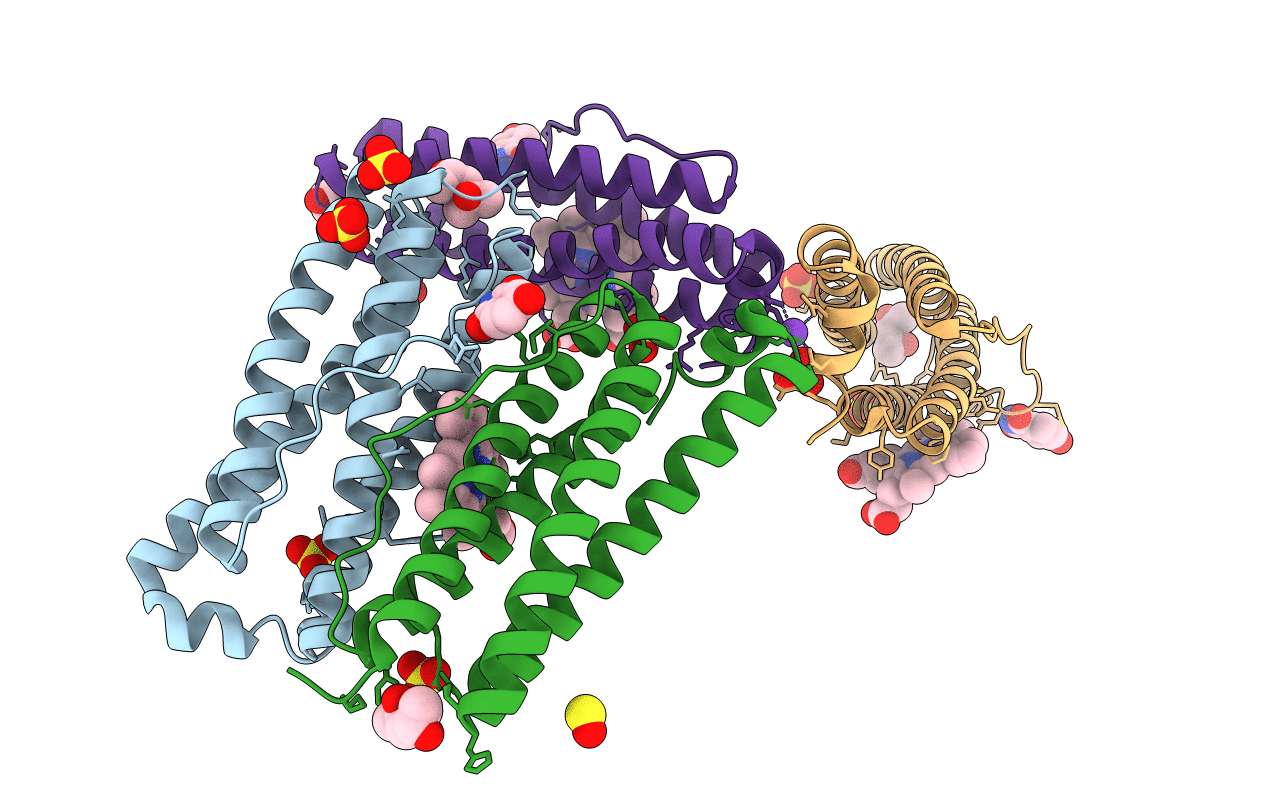 6NLG image