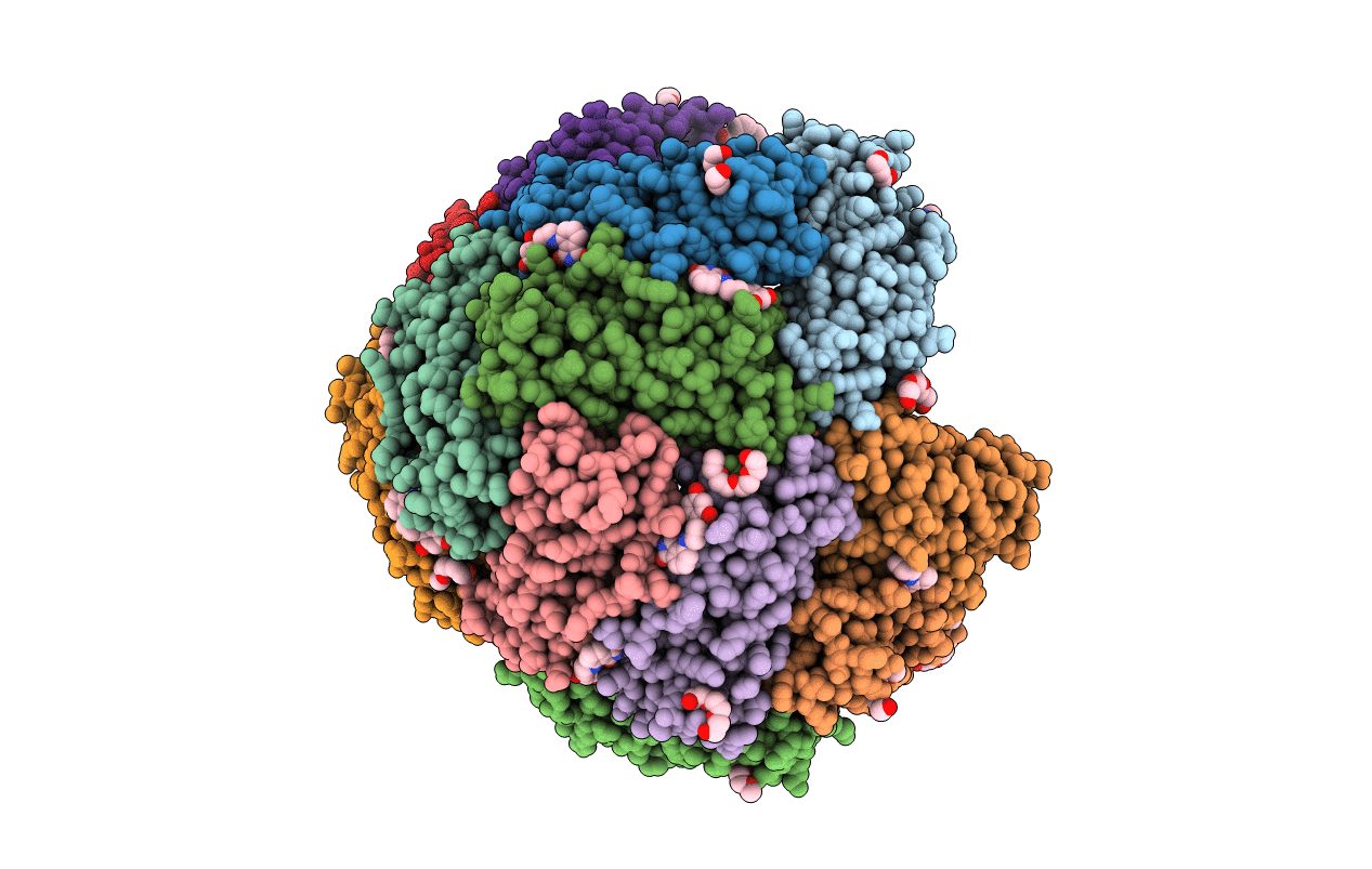 6NLL image