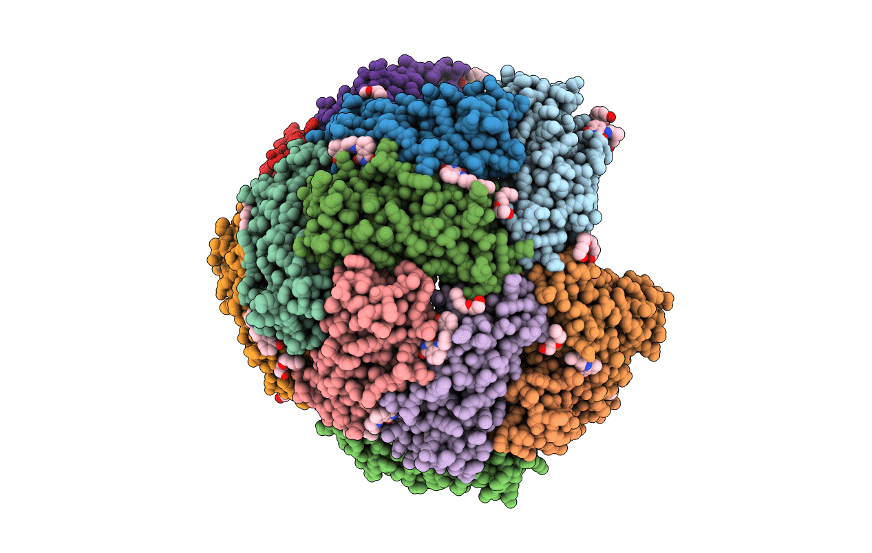 6NLN image