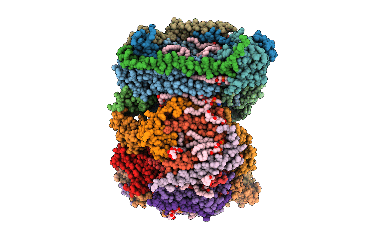 6NMP image