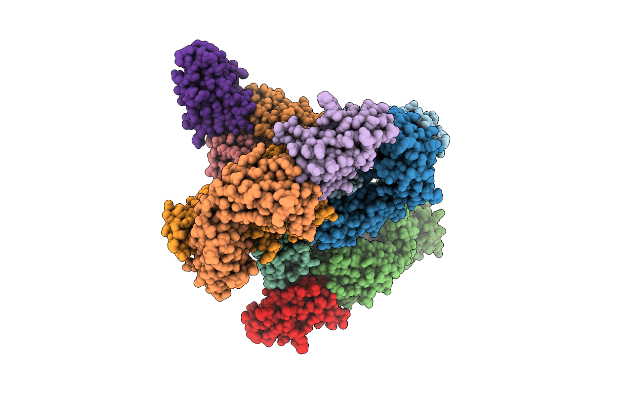 6NMR image