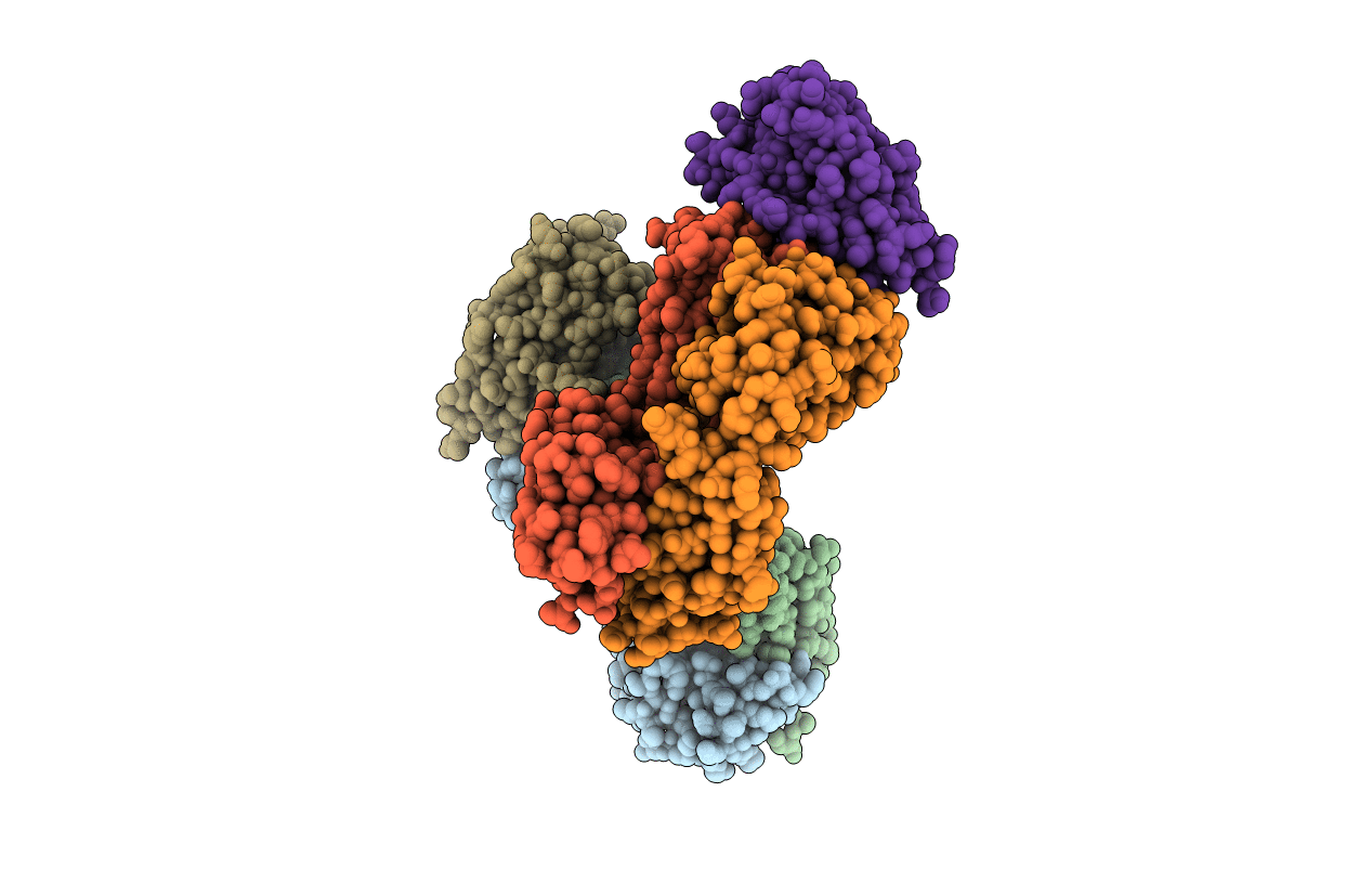 6NMU image