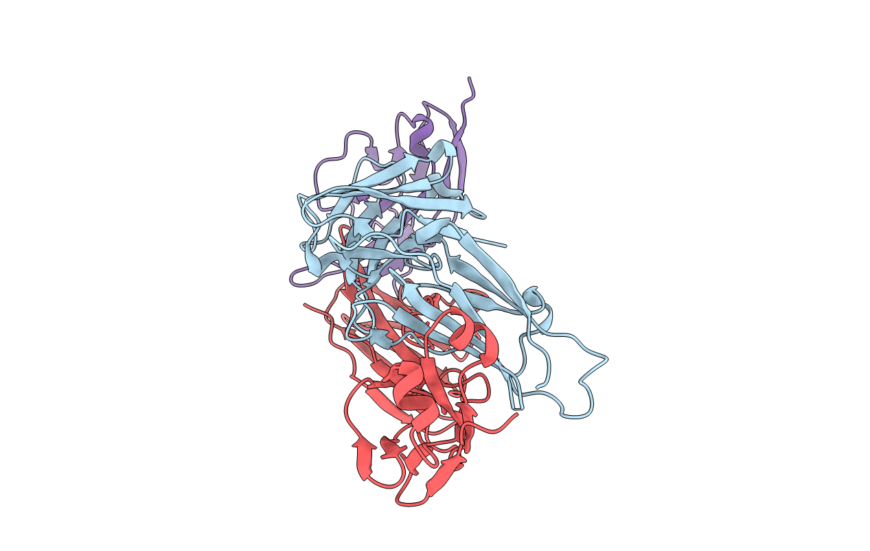6NMV image