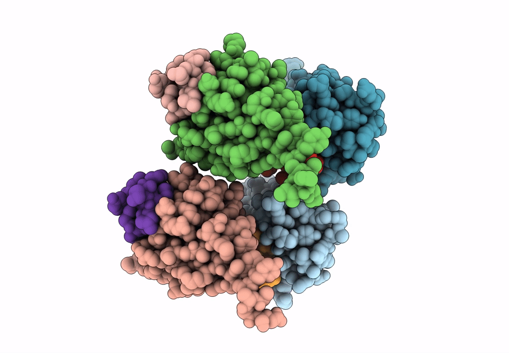 6NNV image