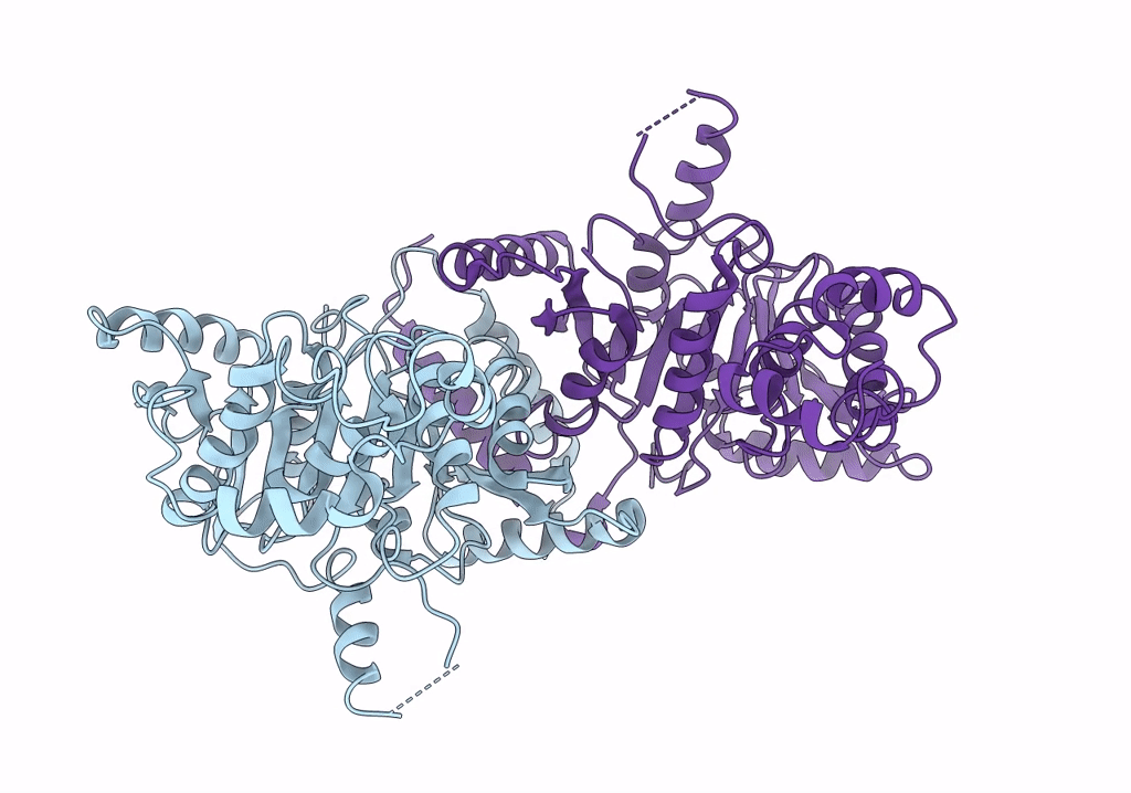 6NPJ image