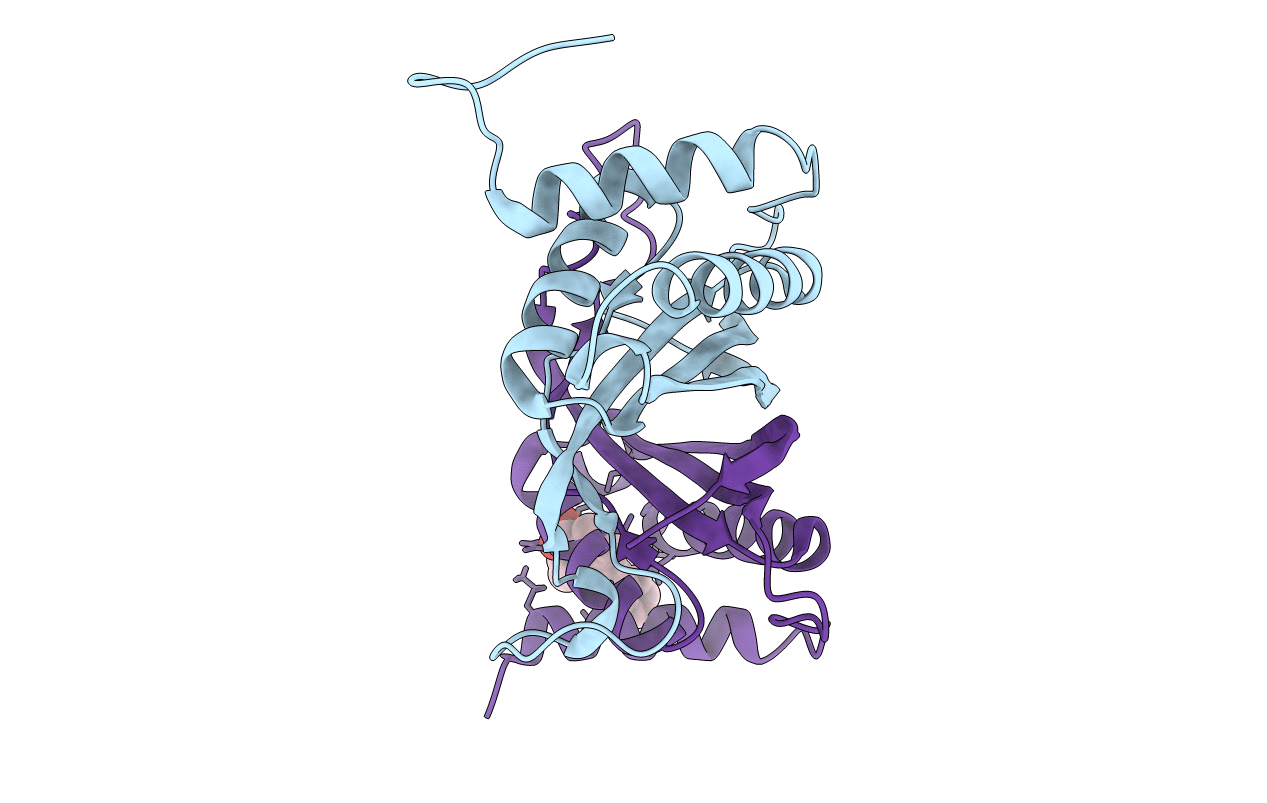 6NPP image