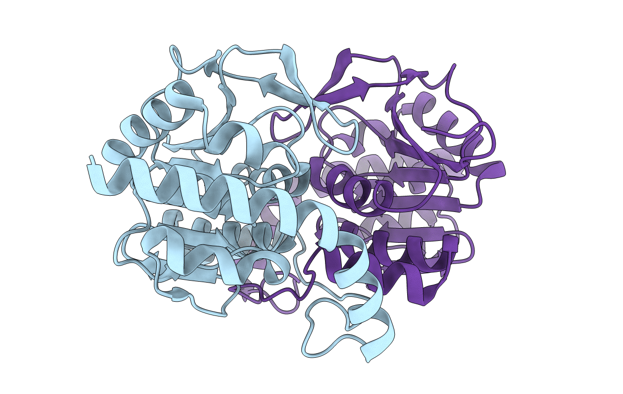 6NPQ image
