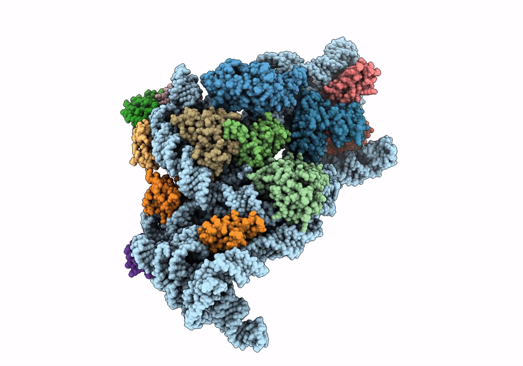 6NQB image