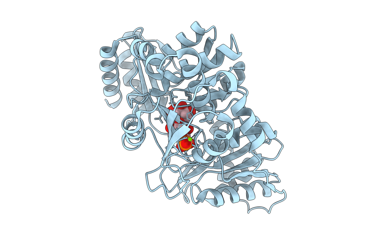 6NQH image