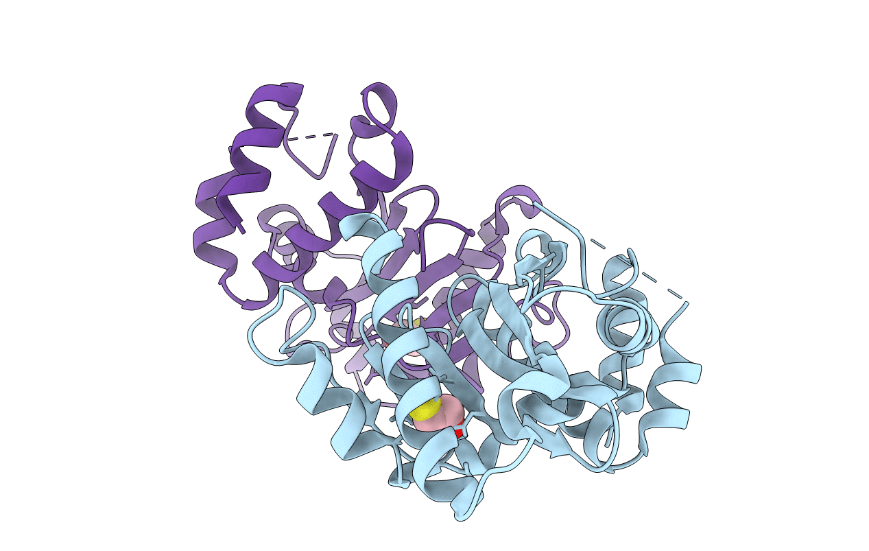 6NQI image