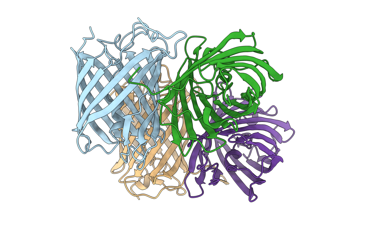 6NQJ image