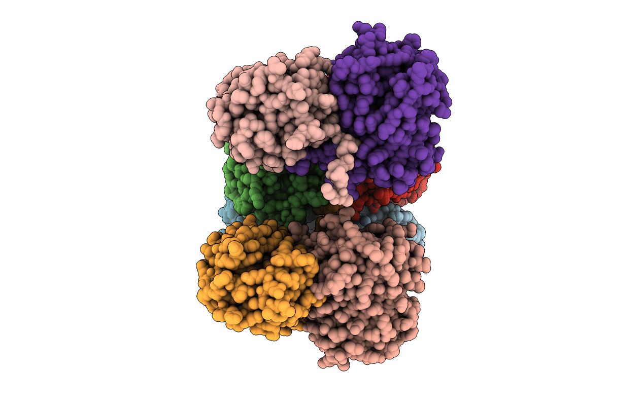 6NQO image