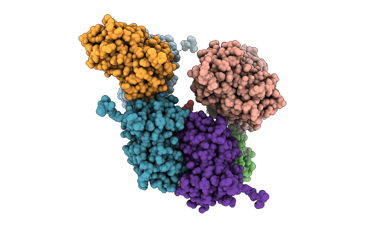 6NQS image