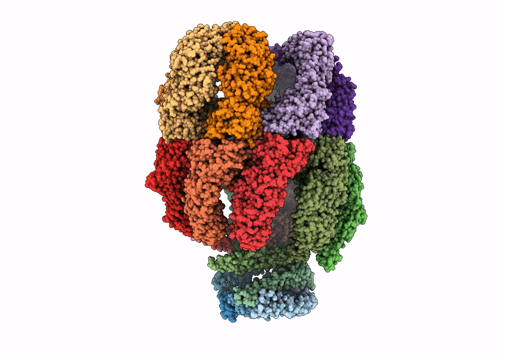 6NRB image