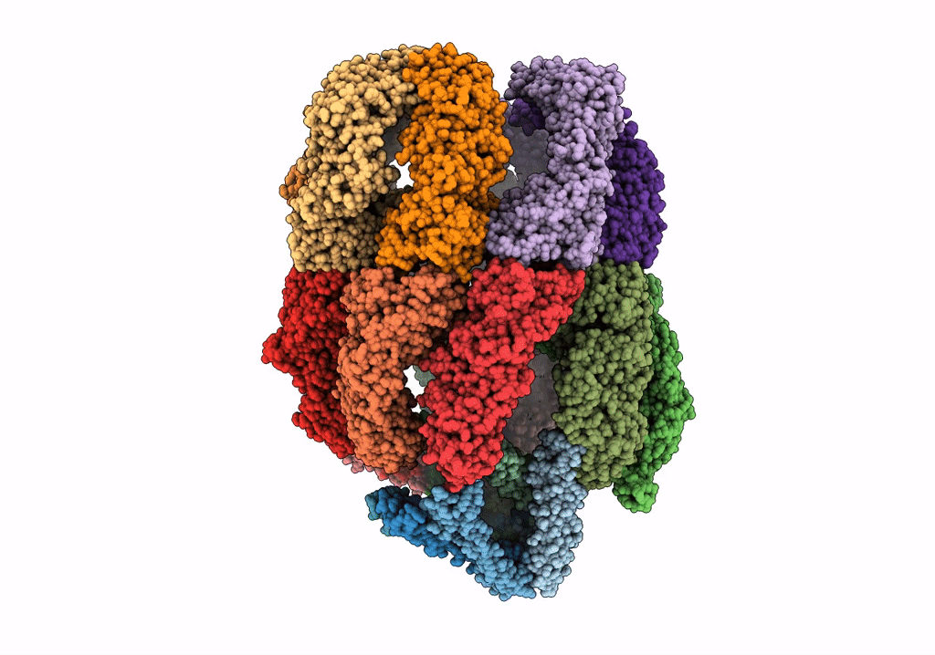 6NRD image