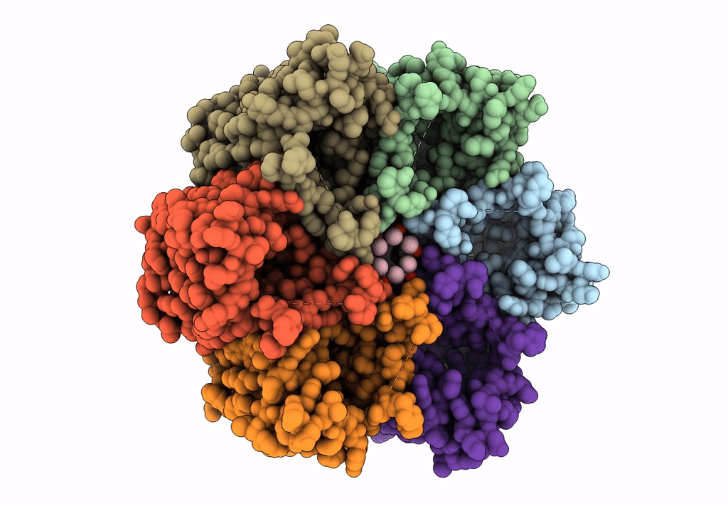 6NSK image