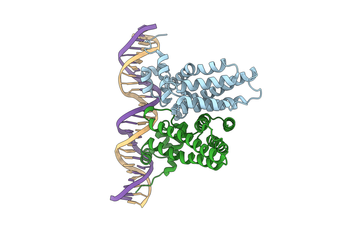 6NSM image