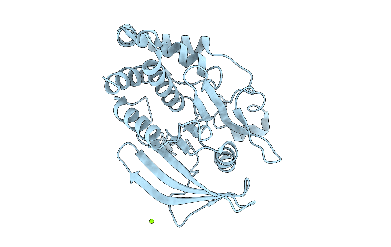 6NTP image