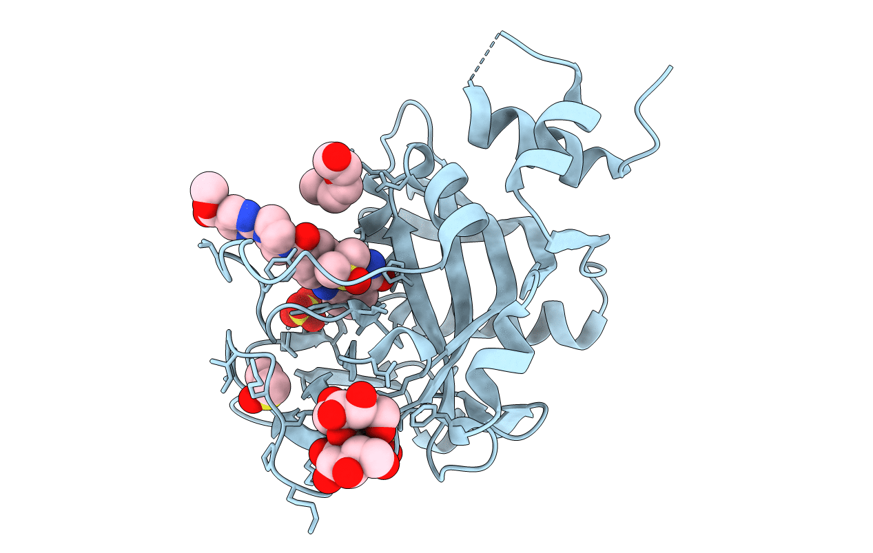 6NTU image