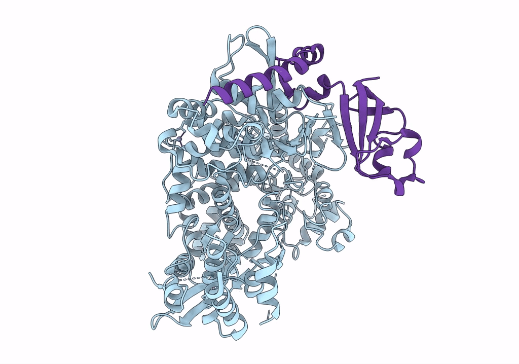 6NUS image