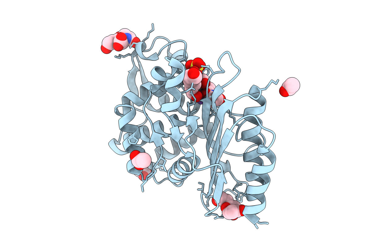 6NVU image
