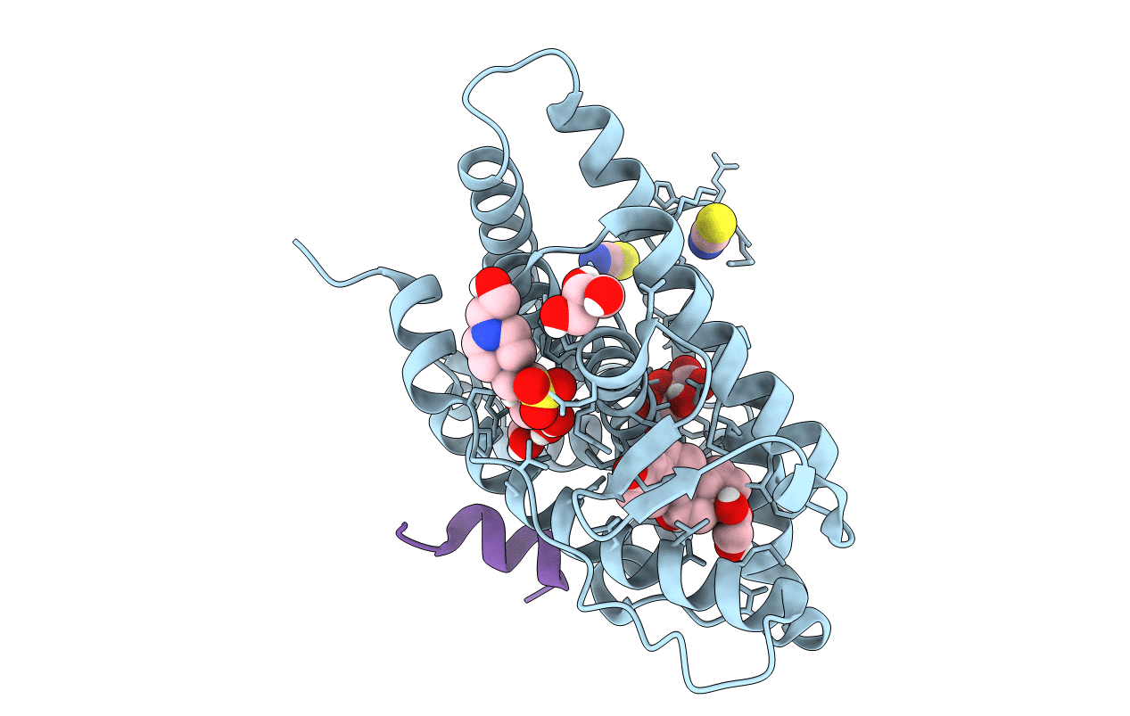 6NWL image