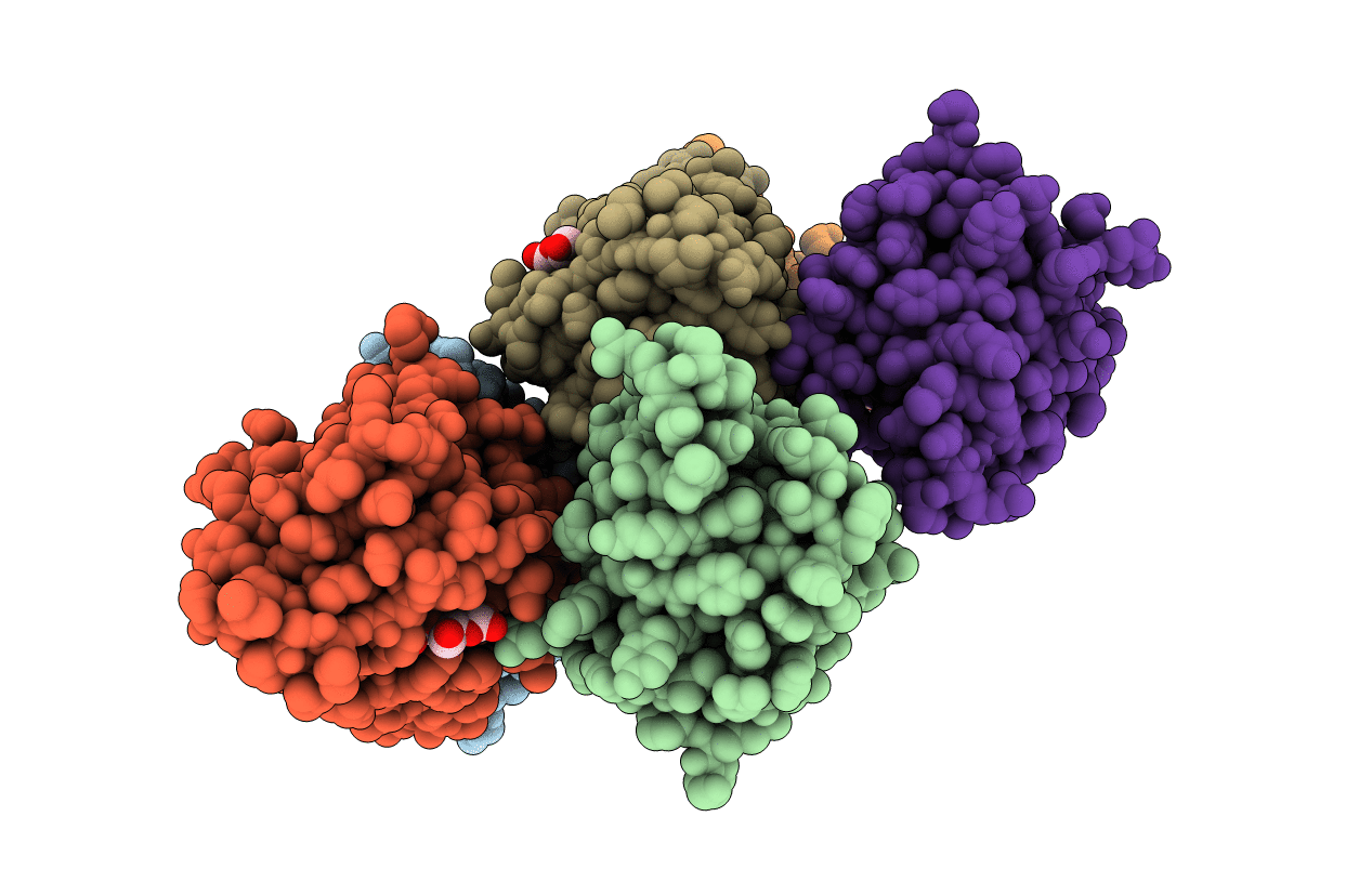6NX3 image