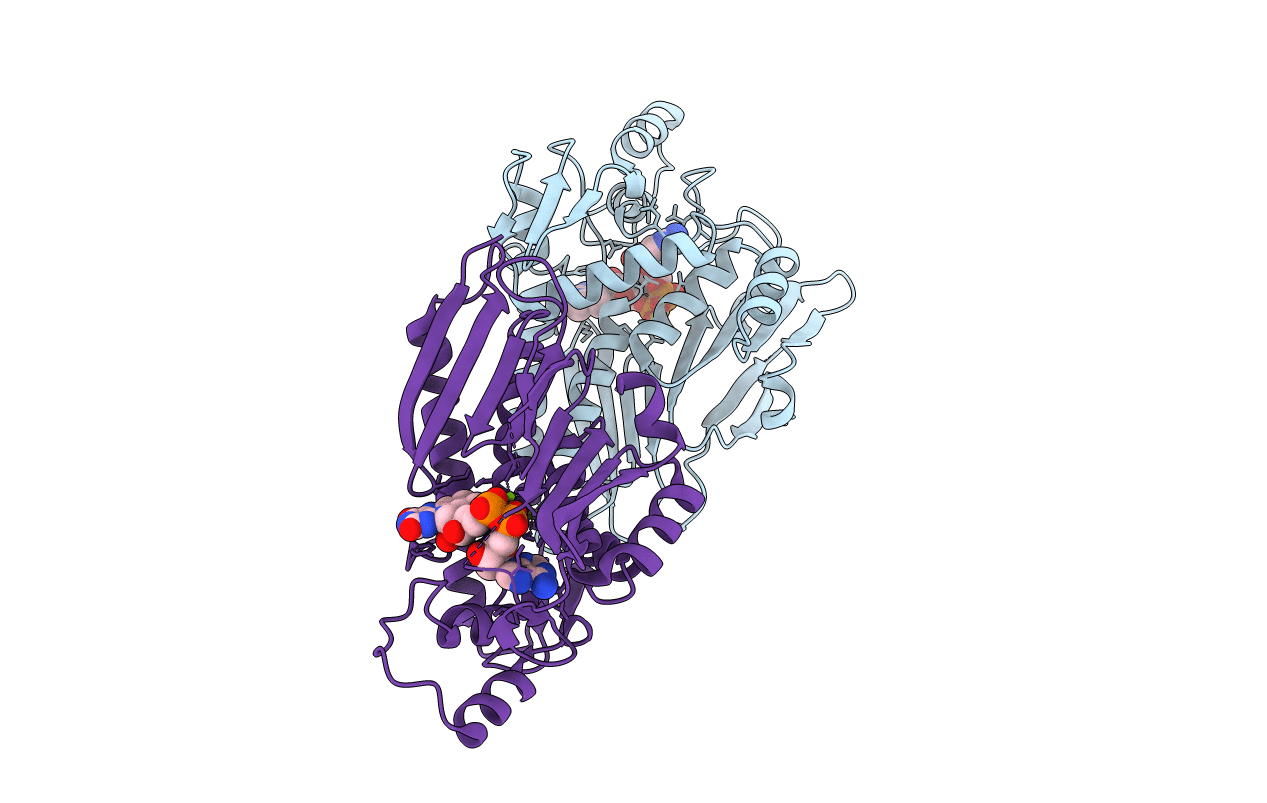 6NXJ image