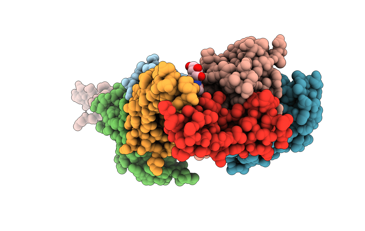 6NYP image