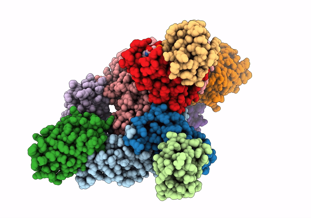 6NZU image