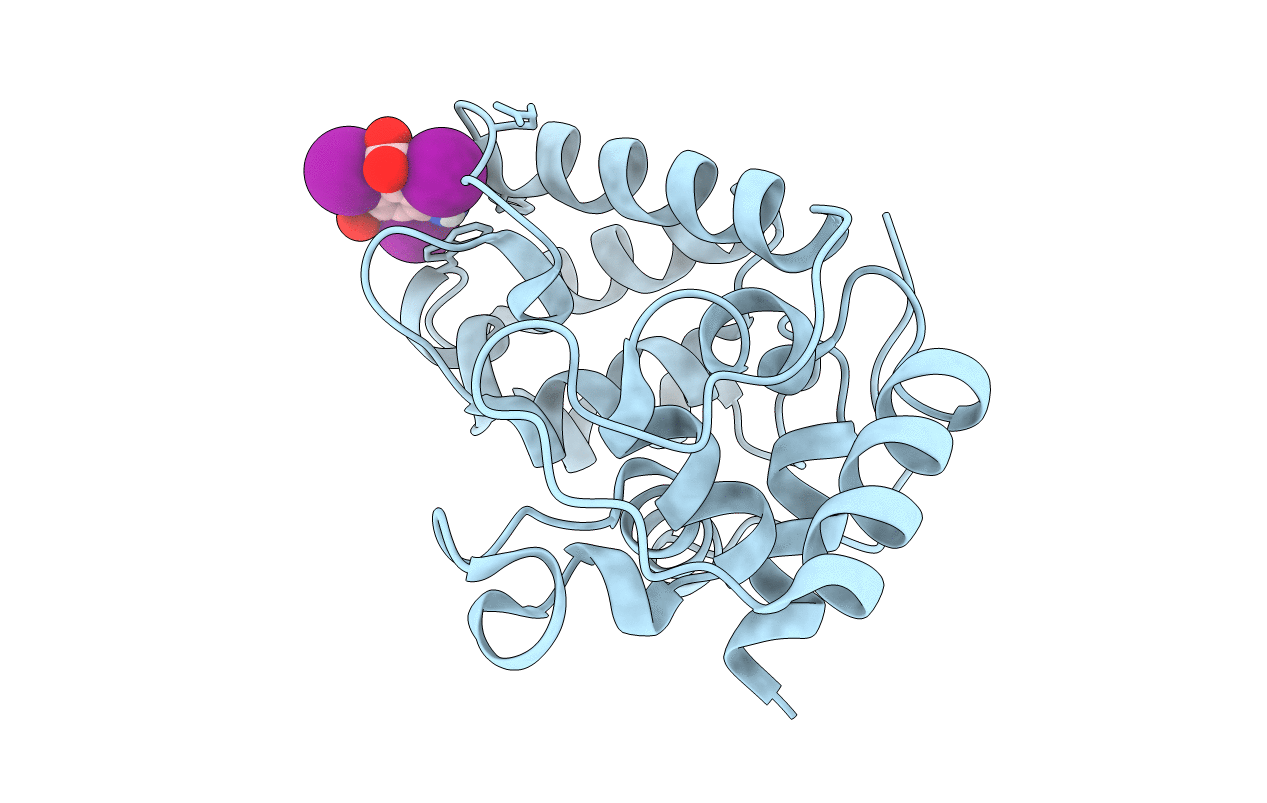 6O43 image