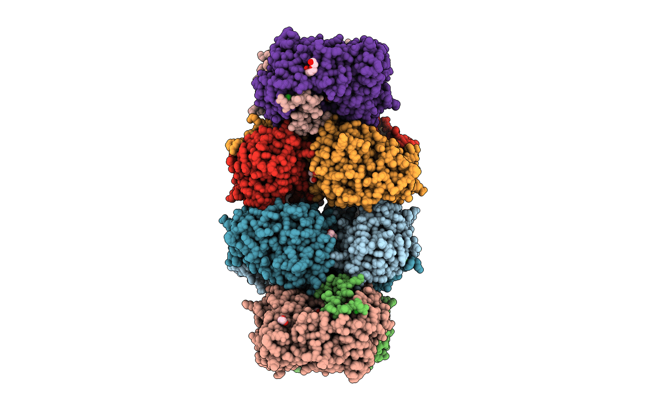 6O4B image