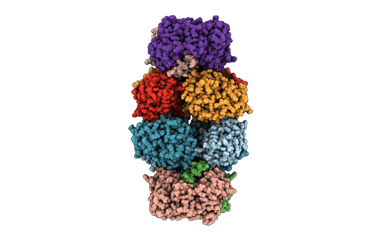 6O4G image