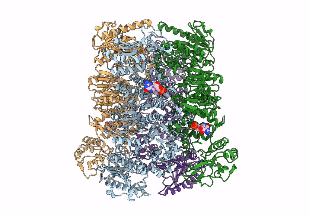 6O6B image